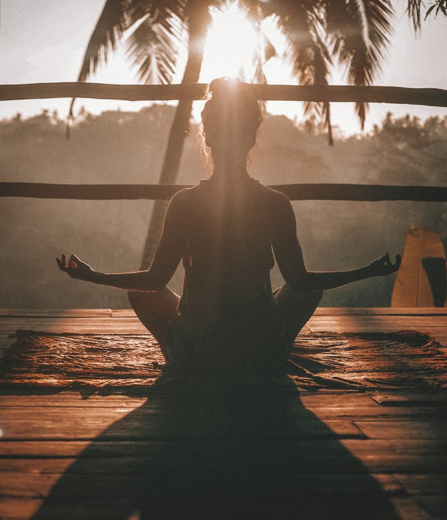 Mindfulness, Plants & The Art Of Pausing
